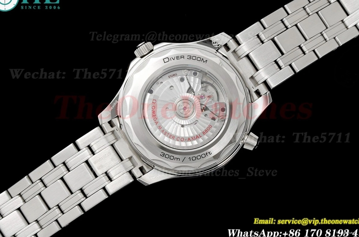 8800 Asia 300m SS 2018 Seamaster ORF Black SS 0113